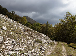La pista in quota che entra nel fosso boscoso alla testata di Valle Fornillo.