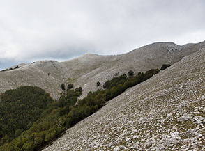 La testata della Valle Fornillo sotto la cima del Monte Cervati.