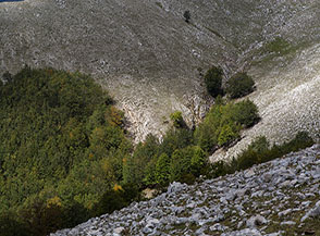Raggio di luce sul fosso della Valle Fornillo.