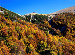 l'Arco del Petrosello e Monte Petroso