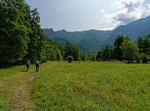 Sui prati di Carpinosa inoltrandosi nella Valle di Abatemarco.
