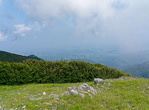 Vista a valle (San Donato di Ninea) da la Calvia.