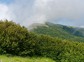 Con lo sguardo rivolto al Cozzo del Pellegrino, la cui cima rimane nascosta tra le nuvole.