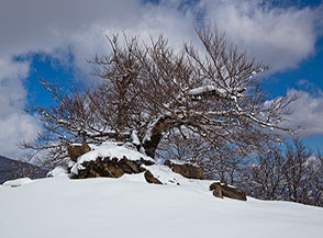 Scorcio lungo la pista per Colle della Pietra.