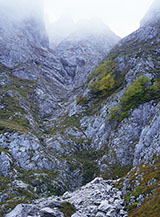 Uno dei ripidi canalini che sfociano nel Gravone, sotto Monte Tremoggia.