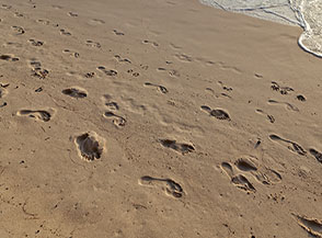 &ldquo;Impronte&ldquo; (Anse Severe).