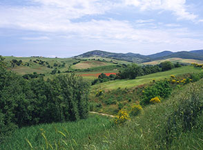 Sguardo sui colli della Tolfa, sullo sfondo Ripa Maiala.
