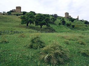 &ldquo;Generazioni&rdquo; (i ruderi di Cencelle, l&rsquo;antica Civitavecchia, lungo la dismessa linea ferroviaria Capranica-Civitavecchia).
