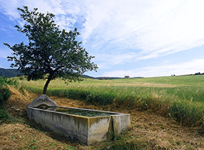 &ldquo;La sosta&rdquo; (fontanile nei pressi della Stazione di Allumiere della ferrovia dismessa Capranica-Civitavecchia).