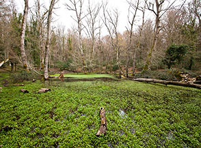 Il piccolo e caratteristico Lago d&rsquo;Otri nella Foresta Umbra.