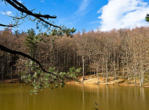 Scorcio del laghetto in localit&agrave; Baracconi alla Foresta Umbra.