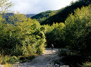 In cammino nel Vallone di Lisciano.