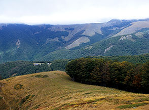 Lungo la Cresta dell&rsquo;Acquasanta ci si affaccia sulla Vallonina e fra gli alberi s&rsquo;intravedono le costruzioni di Campo Stella.