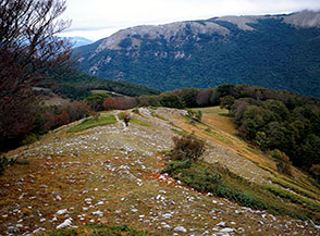 Un suggestivo tratto della Cresta dell&rsquo;Acquasanta verso la Sella di Cantalice.