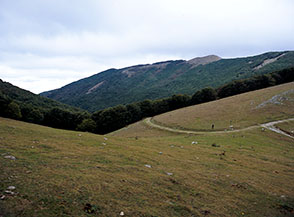 La grande ma anonima Sella prativa di Cantalice.
