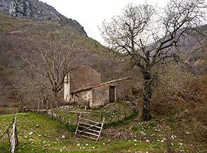 Casale abbandonata ai margini del Piano della Fonte in Valle Soprana.