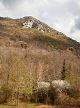 Scorcio sul bosco sul fianco della Valle Soprana.