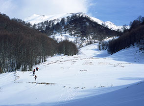Primi passi sul sentiero che da Prati di Mezzo sale al Passo dei Monaci.