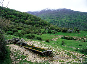 La Fontana dell&rsquo;Olmo in Valle di Forca, avvolto dalle nuvole sullo sfondo &egrave; la Monna.