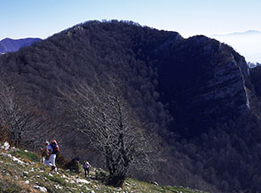 Salendo alla Monna, sullo sfondo Monte Rotonaria.