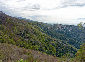 Vista sui boschi di Valle Scura.