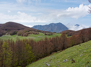 Vista su la Montea da Piano il Campo.
