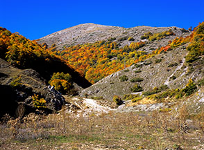 Ingresso del Vallone di Ciaccariello.