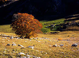 la Navetta e Monte Marsicano