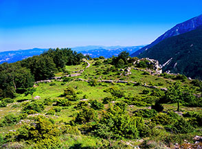 La bella radura che s&rsquo;incontra verso la fine della Cresta Est de la Rapina.