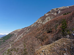 I boschi de la Fossa con il Monte Rotondo alle loro spalle.