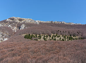 Scorcio sui boschi sommitali de la Fossa e la cima del Monte Rotondo.