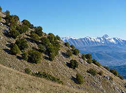 la Serra e Monte della Rocca