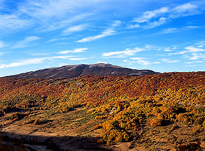 Lungo il sentiero per le Gole della Morgia vista su Monte Turchio.