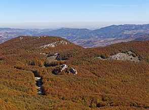 I boschi, ammantati d&rsquo;Autunno, sotto il Monte Volturino.