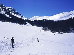 La grande radura che s&rsquo;incontra salendo nella Valle del Morretano, sullo sfondo a dx la cresta della Torricella.