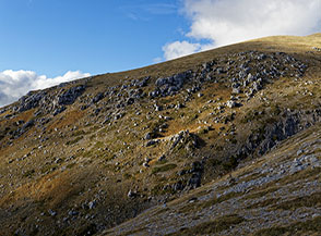&ldquo;Sprazzi di luce&ldquo; (la cresta sopra Fonte della Scrofa).