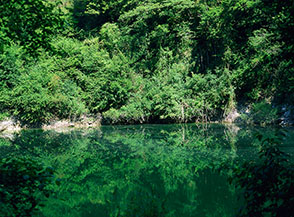 Riflessi sul laghetto di Percile.