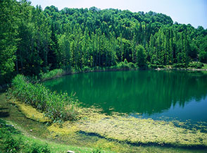 Il Lago Maggiore o Fraturno di Percile.