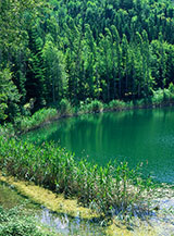 Canneto al Lago Maggiore di Percile.
