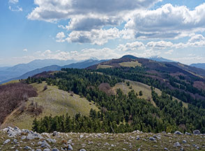La Cresta Nord-Ovest del Monte di Crespiola ripresa da quota 1474m.