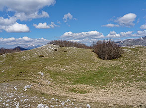 La cima del Monte di Crespiola.