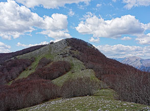 Coppo Chiappino ripreso da sud-est.