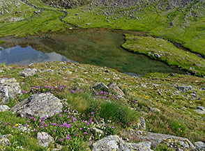 Scorcio del bacino superiore del Lac d&rsquo;Arbolle.