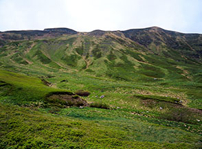 I vasti prati ricoperti di mirtillo nel Circo della Calanca.