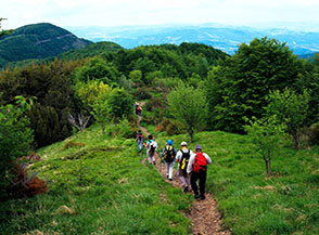 Un tratto del sentiero lungo l&rsquo;altalenante e boscosa Cresta della Riva.