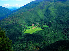 I prati della Madonna dell&rsquo;Acero appaiono come un&rsquo;isola nel mare di boschi circostante.