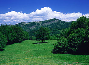Da Poggio d&rsquo;Api verso nord uno sguardo a Monte Comunitore.