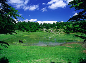 Il Lago Secco di Poggio d&rsquo;Api incorniciato fra i faggi.