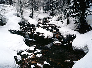 Scorcio sul Rio della Valle Stretta durante una nevicata.