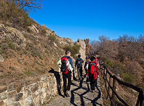 Sul viottolo che da Serra Barcuta segue il crinale verso le Dolomiti di Castelmezzano.